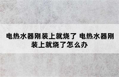 电热水器刚装上就烧了 电热水器刚装上就烧了怎么办